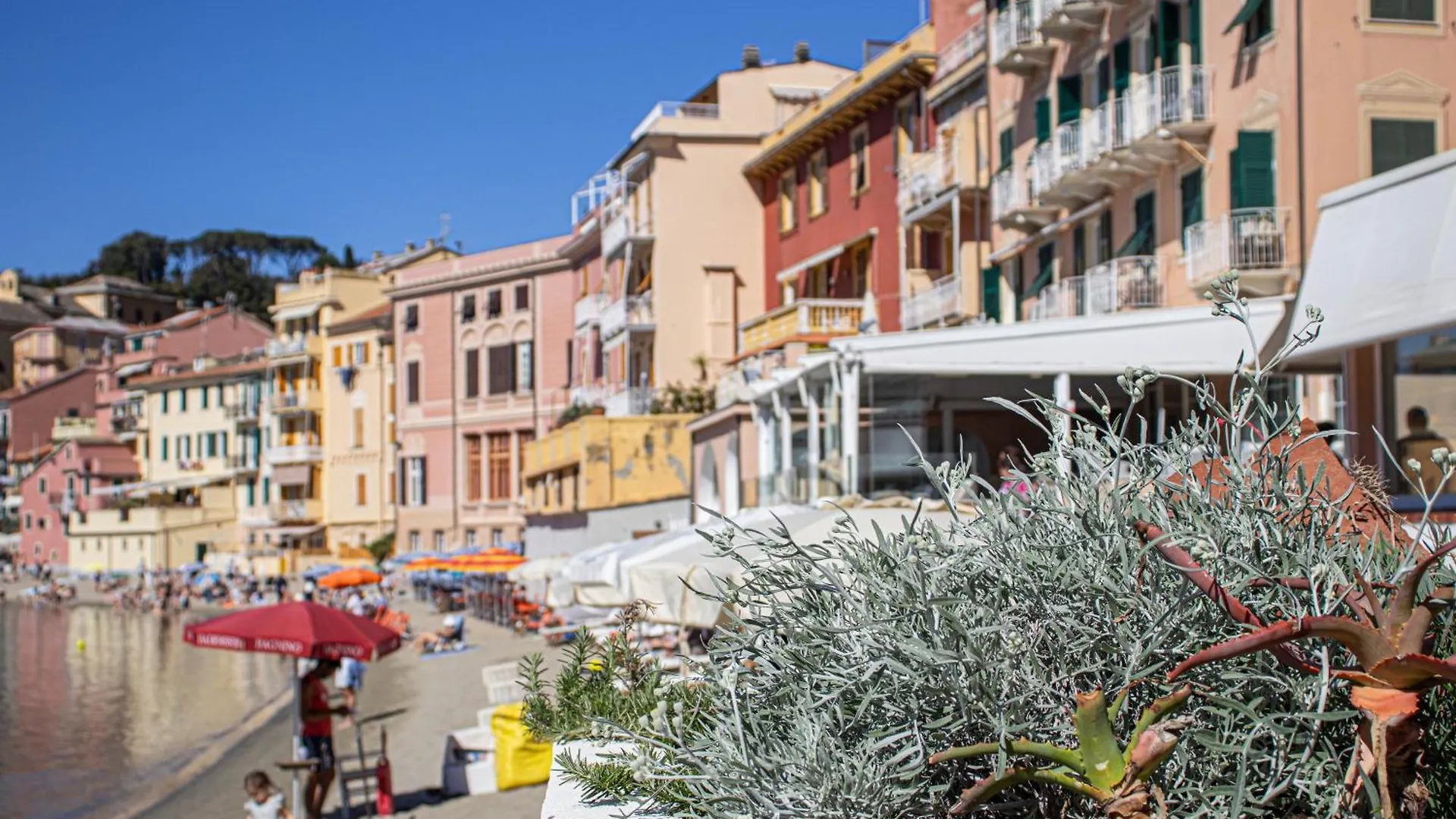 245C - Casa Johanna, Centro Storico, 140Metri Dalla Baia Del Silenzio Patrimonio Unesco Spiaggia E Mare Sestri Levante Apartment